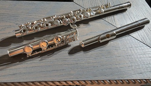 Pearl 700rbe sterling - pearl,