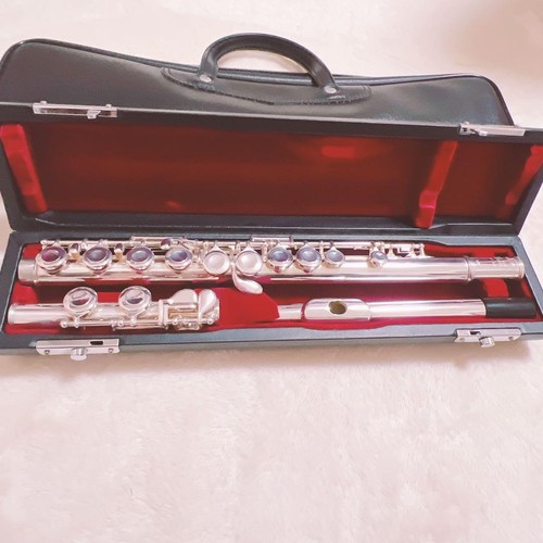 Pearl 521 silver lip - pearl,