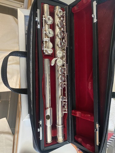 Pearl 501 flute - pf-501, case